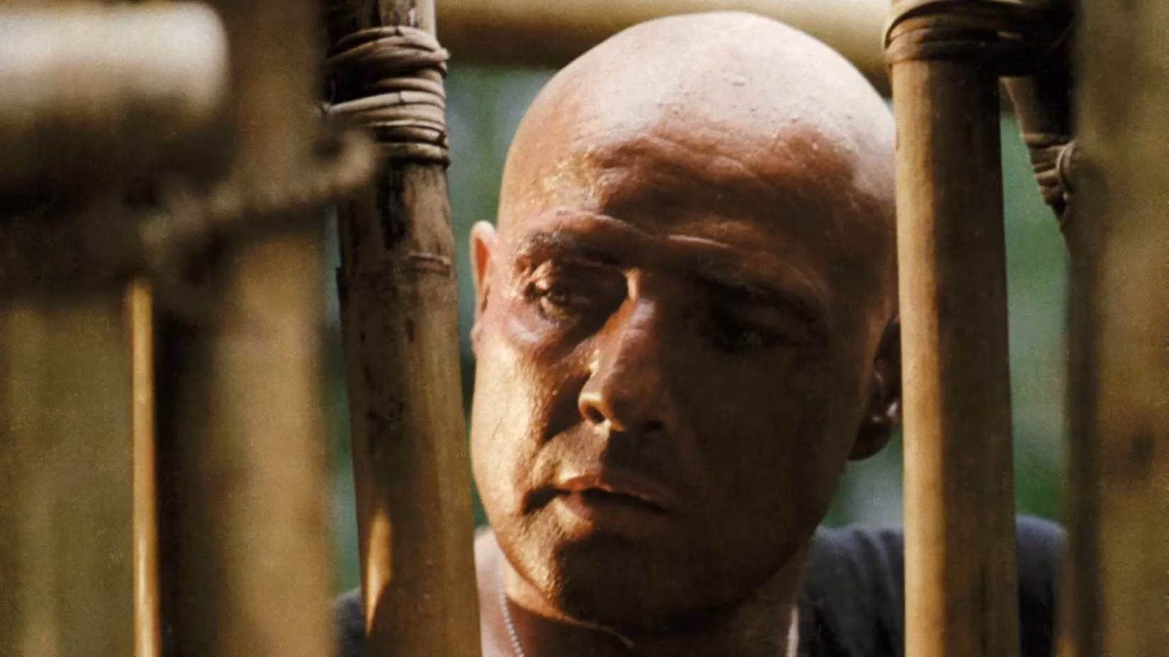 free-oscar-winners-in-2026-my-cheapskate-cinematic-feast-image-10